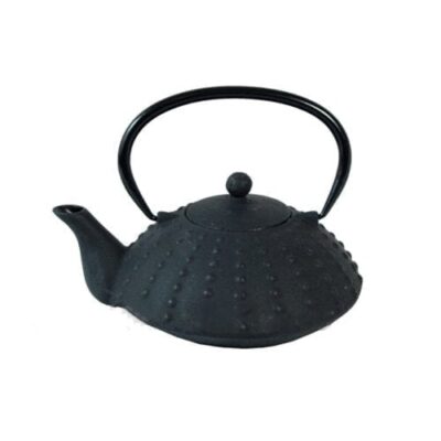 Japanese Cast Iron Teapot Black Armour