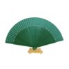 Chinese Waaier Groen